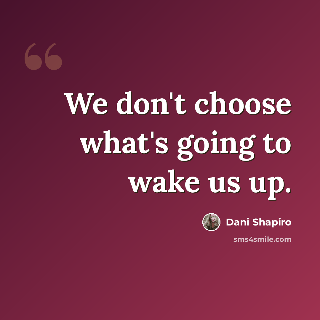 “We don't choose what's going to wake us up.” quote by Dani Shapiro