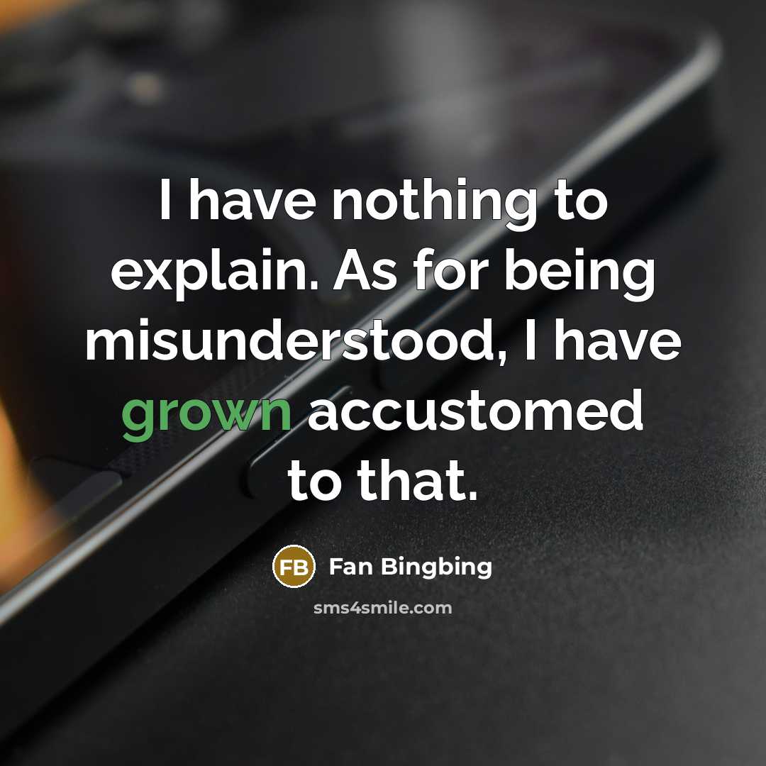 “I have nothing to explain. As for being misunderstood, I have grown accustomed to that.” quote by Fan Bingbing