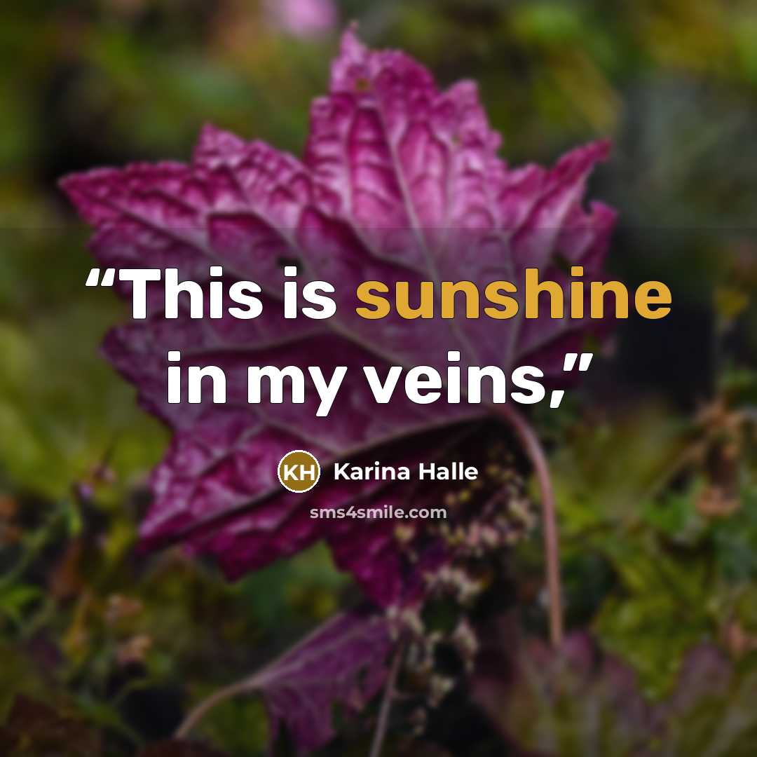 “This is sunshine in my veins,” quote by Karina Halle