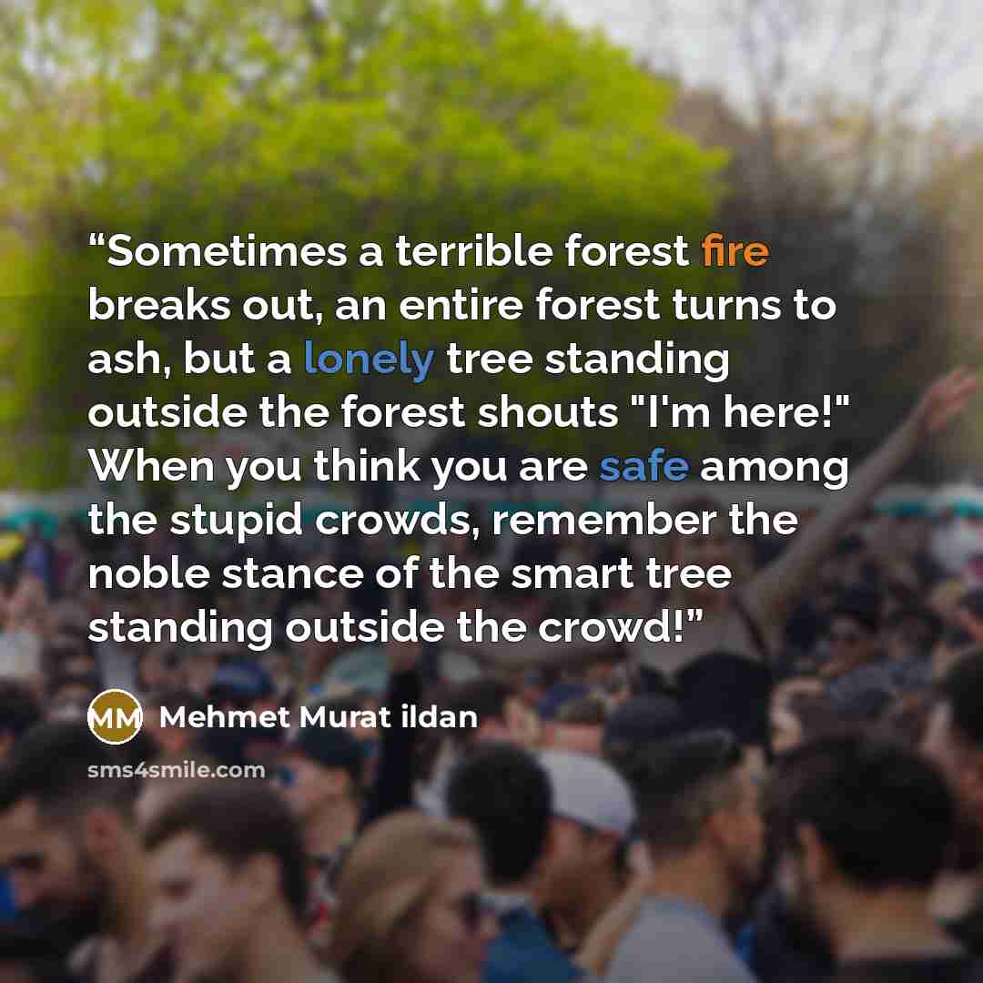 “Sometimes a terrible forest fire breaks out, an entire forest turns to ash, but a lonely tree standing outside the forest shouts "I'm here!" When you think you are safe among the stupid crowds, remember the noble stance of the smart tree standing outside the crowd!” quote by Mehmet Murat ildan