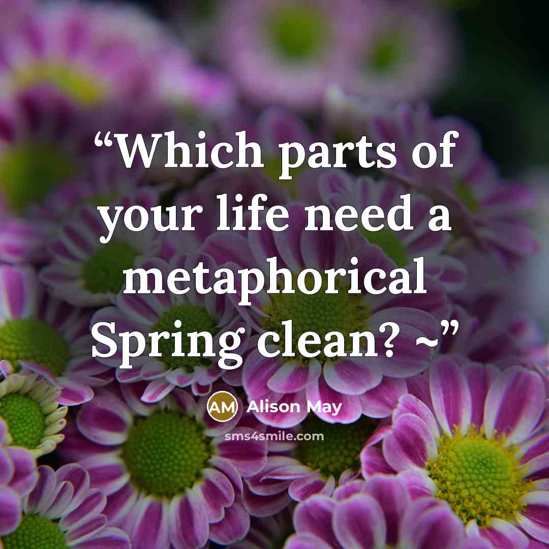 “Which parts of your life need a metaphorical Spring clean? ~” quote by Alison May