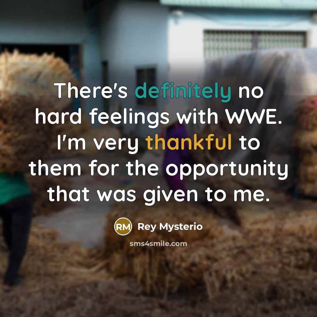 “There's definitely no hard feelings with WWE. I'm very thankful to them for the opportunity that was given to me.” quote by Rey Mysterio