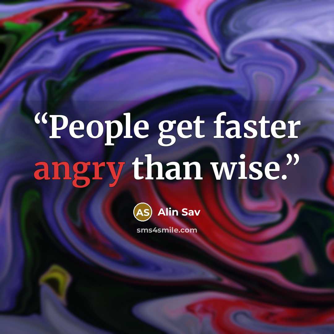 “People get faster angry than wise.” quote by Alin Sav