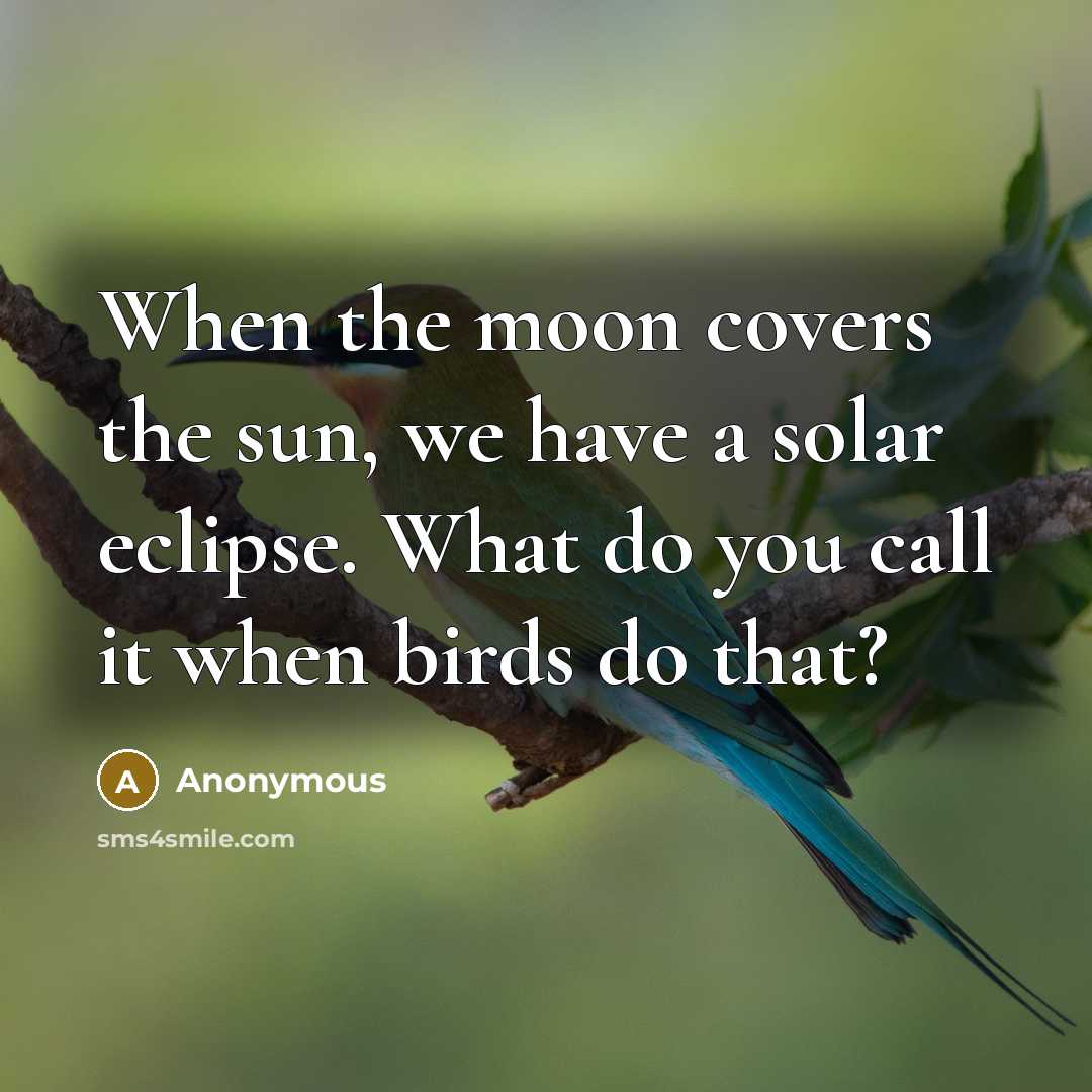 “When the moon covers the sun, we have a solar eclipse. What do you call it when birds do that?” quote by Anonymous