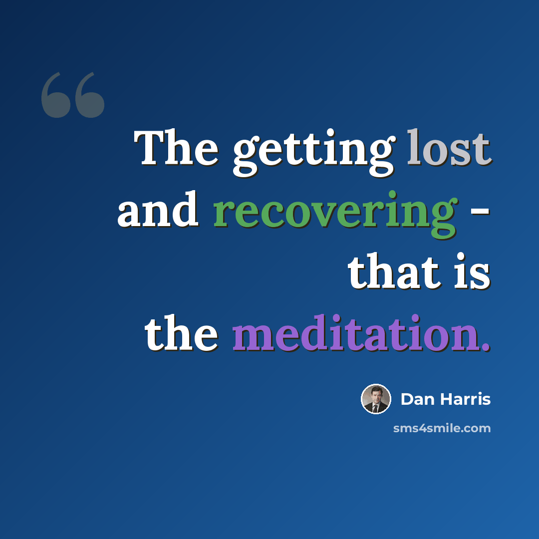 “The getting lost and recovering - that is the meditation.” quote by Dan Harris