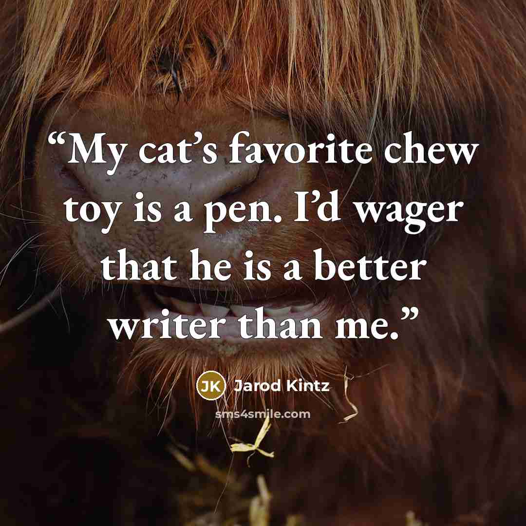 “My cat’s favorite chew toy is a pen. I’d wager that he is a better writer than me.” quote by Jarod Kintz