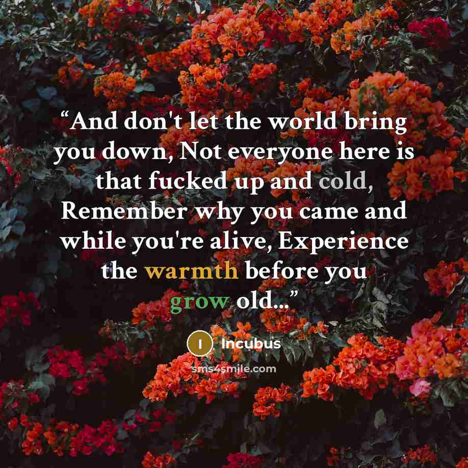 “And don't let the world bring you down, Not everyone here is that fucked up and cold, Remember why you came and while you're alive, Experience the warmth before you grow old...” quote by Incubus