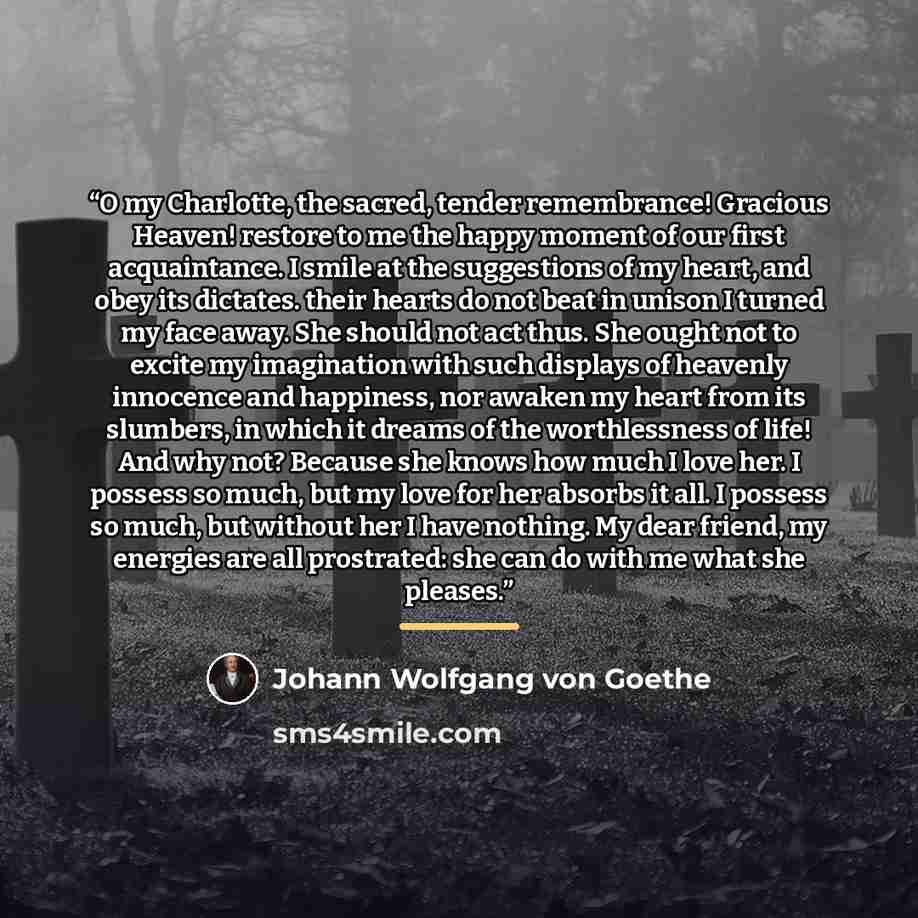 “O my Charlotte, the sacred, tender remembrance! Gracious Heaven! restore to me the happy moment of our first acquaintance. I smile at the suggestions of my heart, and obey its dictates. their hearts do not beat in unison I turned my face away. She should not act thus. She ought not to excite my…” quote by Johann Wolfgang von Goethe