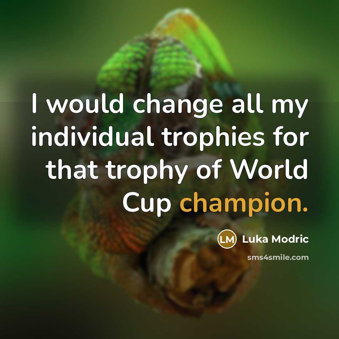 “I would change all my individual trophies for that trophy of World Cup champion.” quote by Luka Modric
