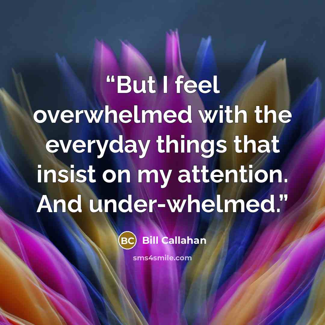 “But I feel overwhelmed with the everyday things that insist on my attention. And under-whelmed.” quote by Bill Callahan