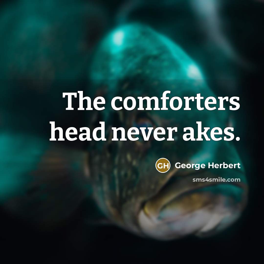 “The comforters head never akes.” quote by George Herbert