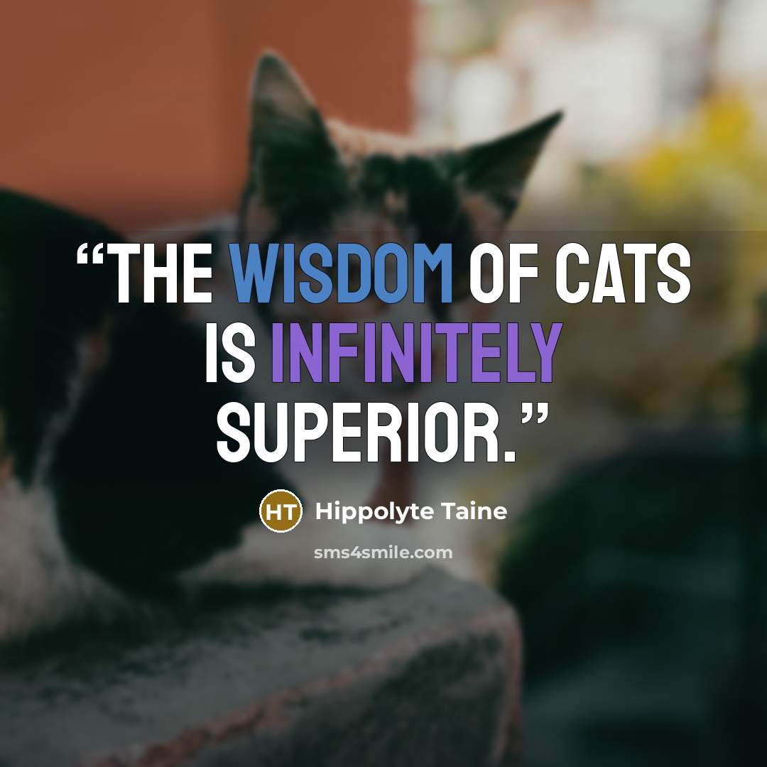 “The wisdom of cats is infinitely superior.” quote by Hippolyte Taine