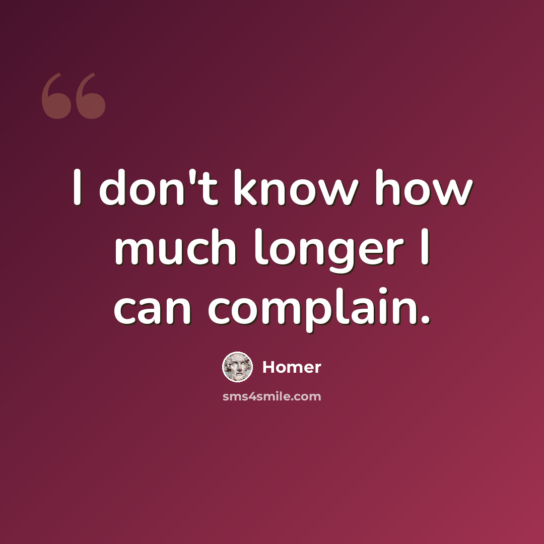 “I don't know how much longer I can complain.” quote by Homer