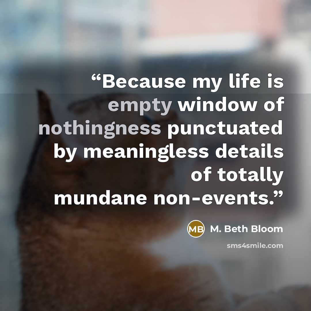 “Because my life is empty window of nothingness punctuated by meaningless details of totally mundane non-events.” quote by M. Beth Bloom