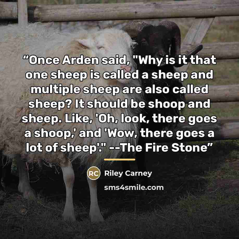 “Once Arden said, "Why is it that one sheep is called a sheep and multiple sheep are also called sheep? It should be shoop and sheep. Like, 'Oh, look, there goes a shoop,' and 'Wow, there goes a lot of sheep'." --The Fire Stone” quote by Riley Carney