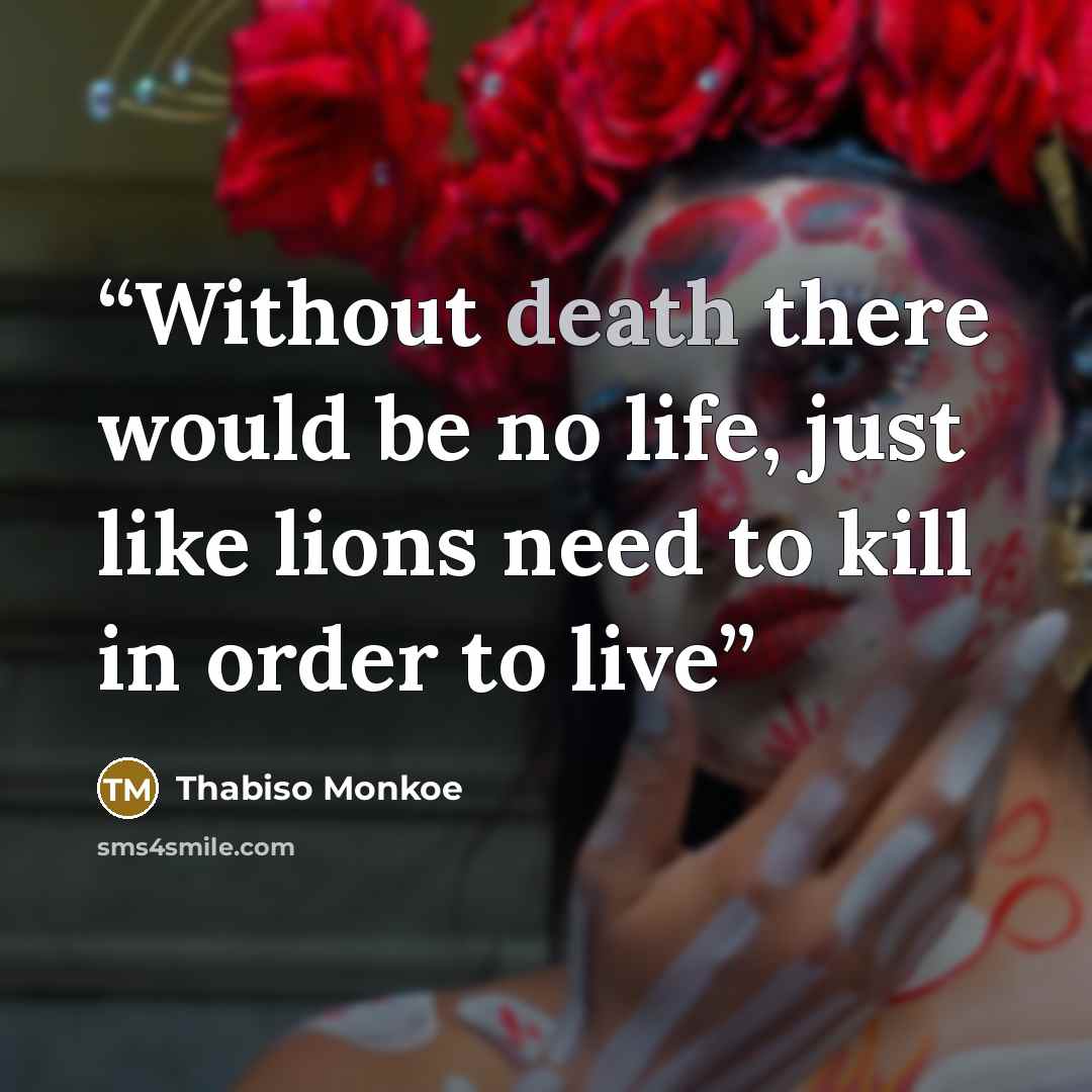 “Without death there would be no life, just like lions need to kill in order to live” quote by Thabiso Monkoe