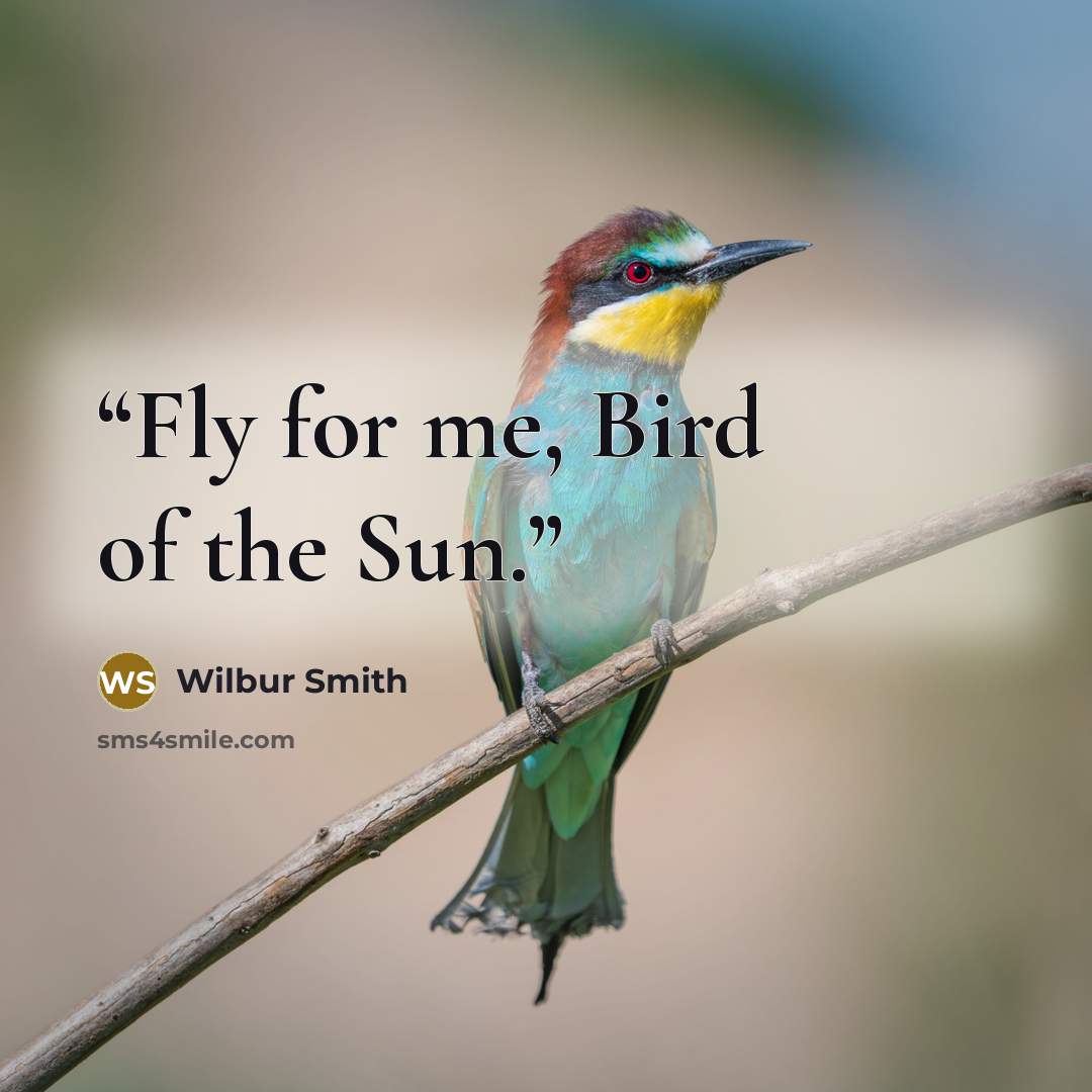 “Fly for me, Bird of the Sun.” quote by Wilbur Smith