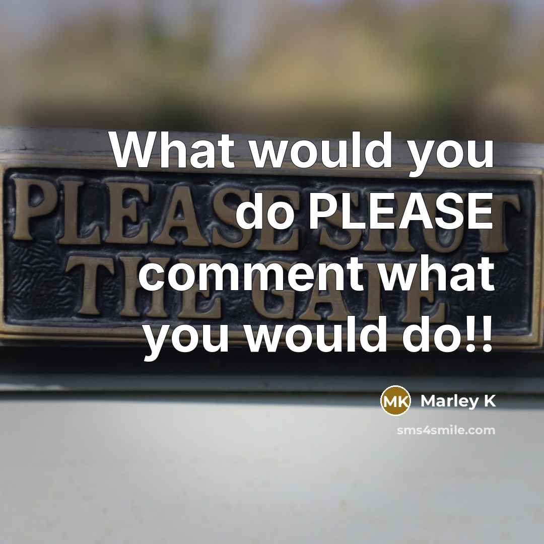“What would you do PLEASE comment what you would do!!” quote by Marley K