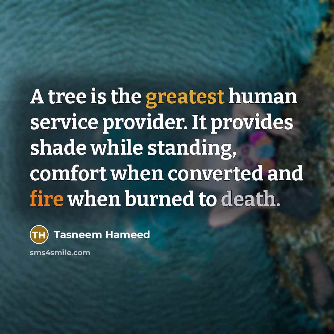 “A tree is the greatest human service provider. It provides shade while standing, comfort when converted and fire when burned to death.” quote by Tasneem Hameed