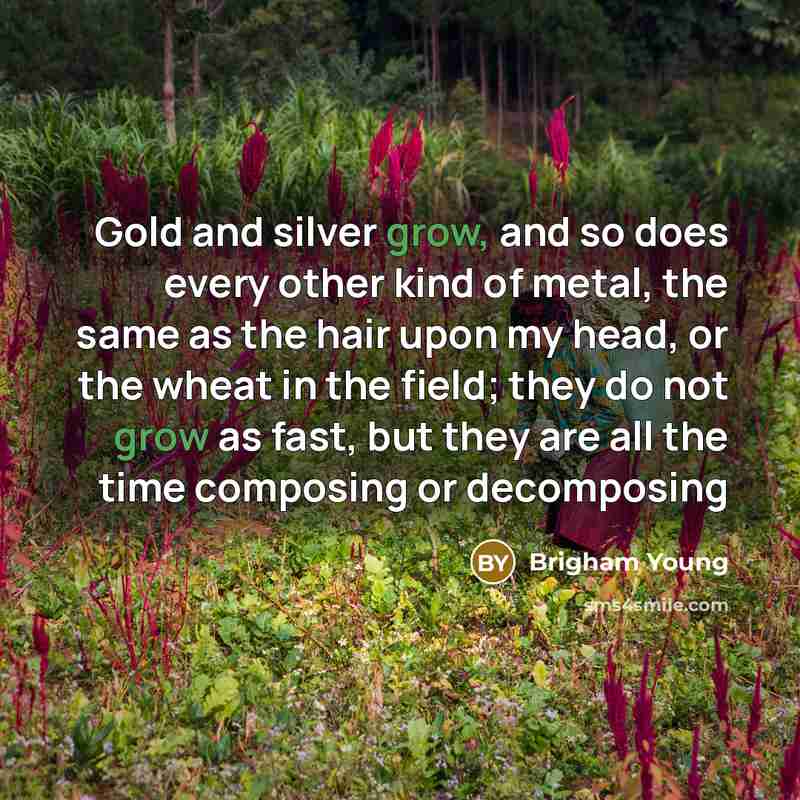 “Gold and silver grow, and so does every other kind of metal, the same as the hair upon my head, or the wheat in the field; they do not grow as fast, but they are all the time composing or decomposing” quote by Brigham Young