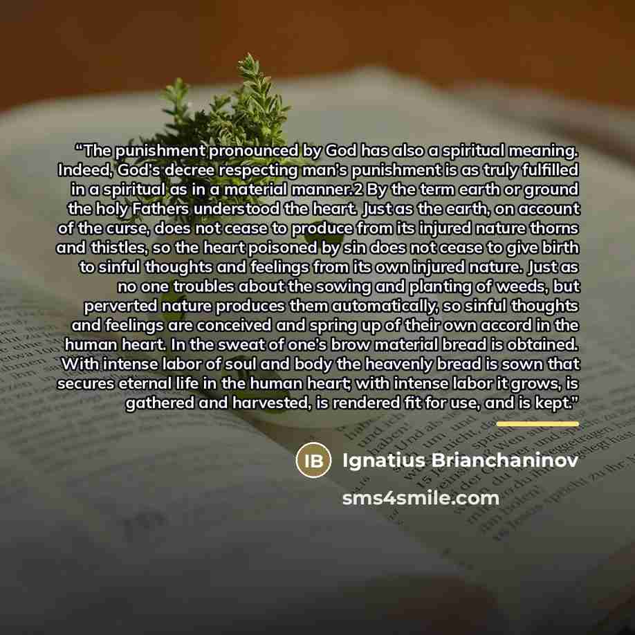 “The punishment pronounced by God has also a spiritual meaning. Indeed, God’s decree respecting man’s punishment is as truly fulfilled in a spiritual as in a material manner.2 By the term earth or ground the holy Fathers understood the heart. Just as the earth, on account of the curse, does not…” quote by Ignatius Brianchaninov