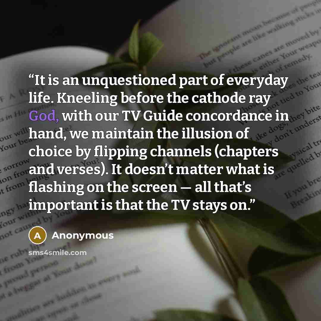 “It is an unquestioned part of everyday life. Kneeling before the cathode ray God, with our TV Guide concordance in hand, we maintain the illusion of choice by flipping channels (chapters and verses). It doesn’t matter what is flashing on the screen — all that’s important is that the TV stays on.” quote by Anonymous