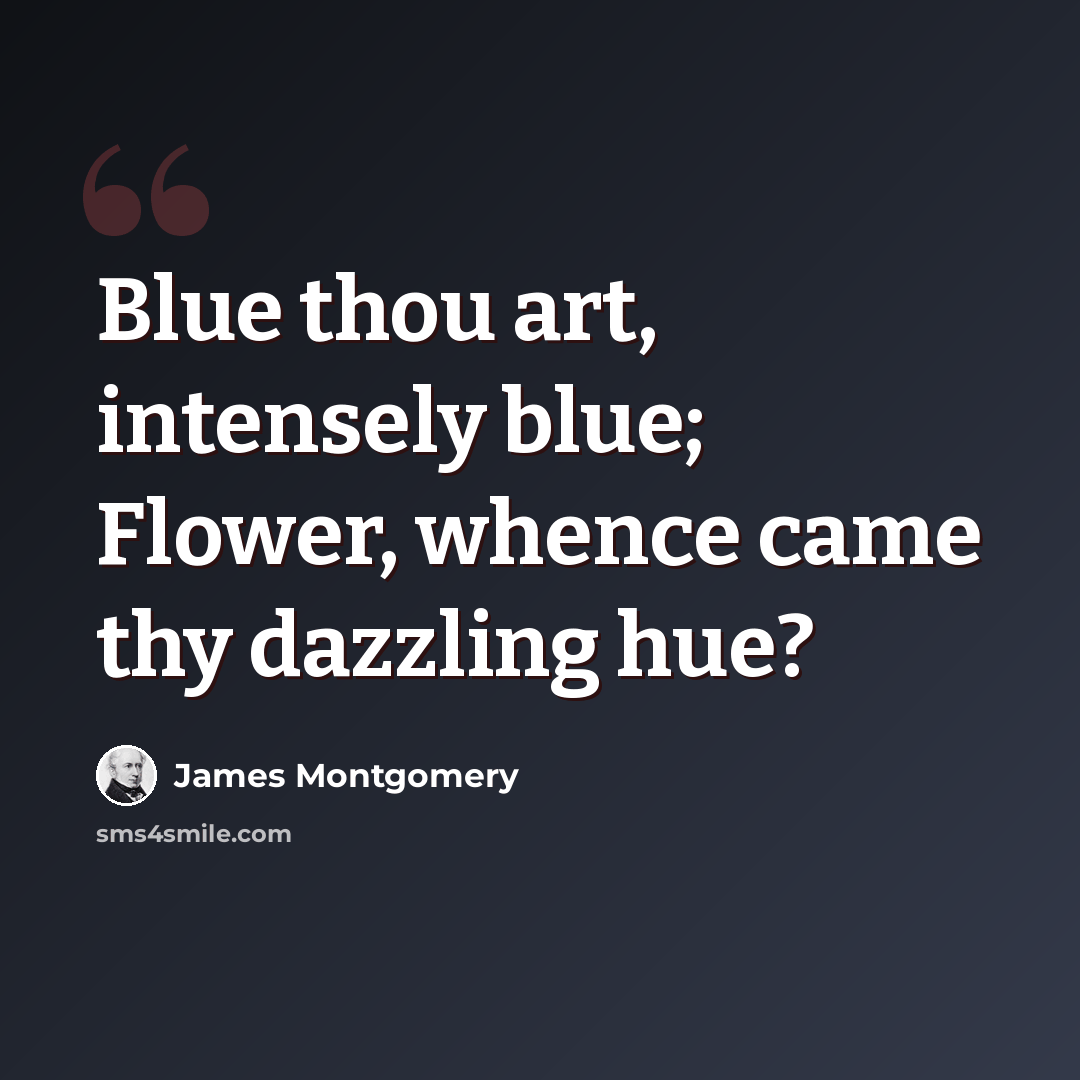 “Blue thou art, intensely blue; Flower, whence came thy dazzling hue?” quote by James Montgomery