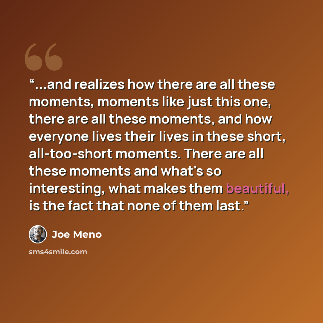 “...and realizes how there are all these moments, moments like just this one, there are all these moments, and how everyone lives their lives in these short, all-too-short moments. There are all these moments and what's so interesting, what makes them beautiful, is the fact that none of them last.” quote by Joe Meno