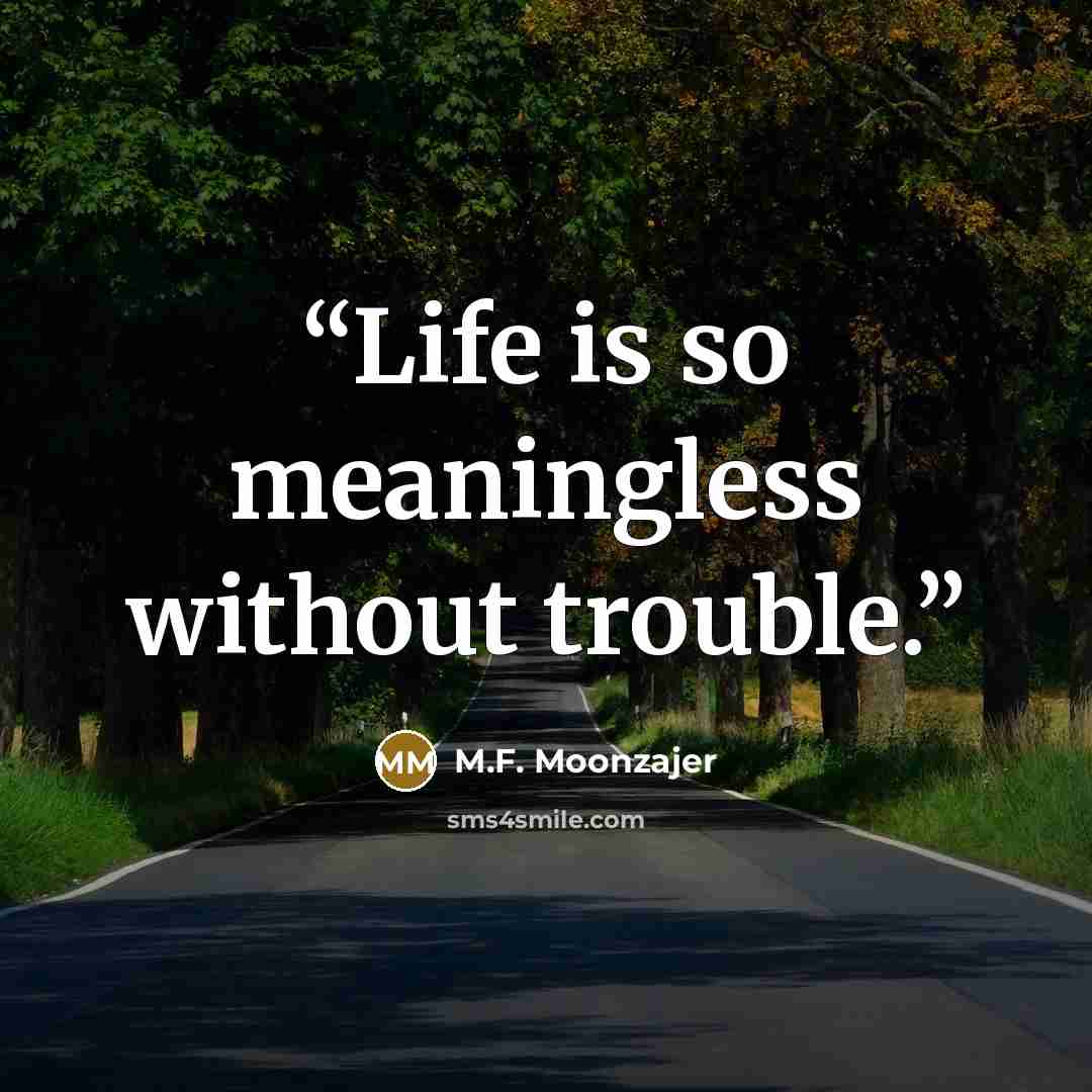 “Life is so meaningless without trouble.” quote by M.F. Moonzajer