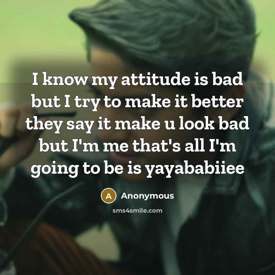“I know my attitude is bad but I try to make it better they say it make u look bad but I'm me that's all I'm going to be is yayababiiee” quote by Anonymous