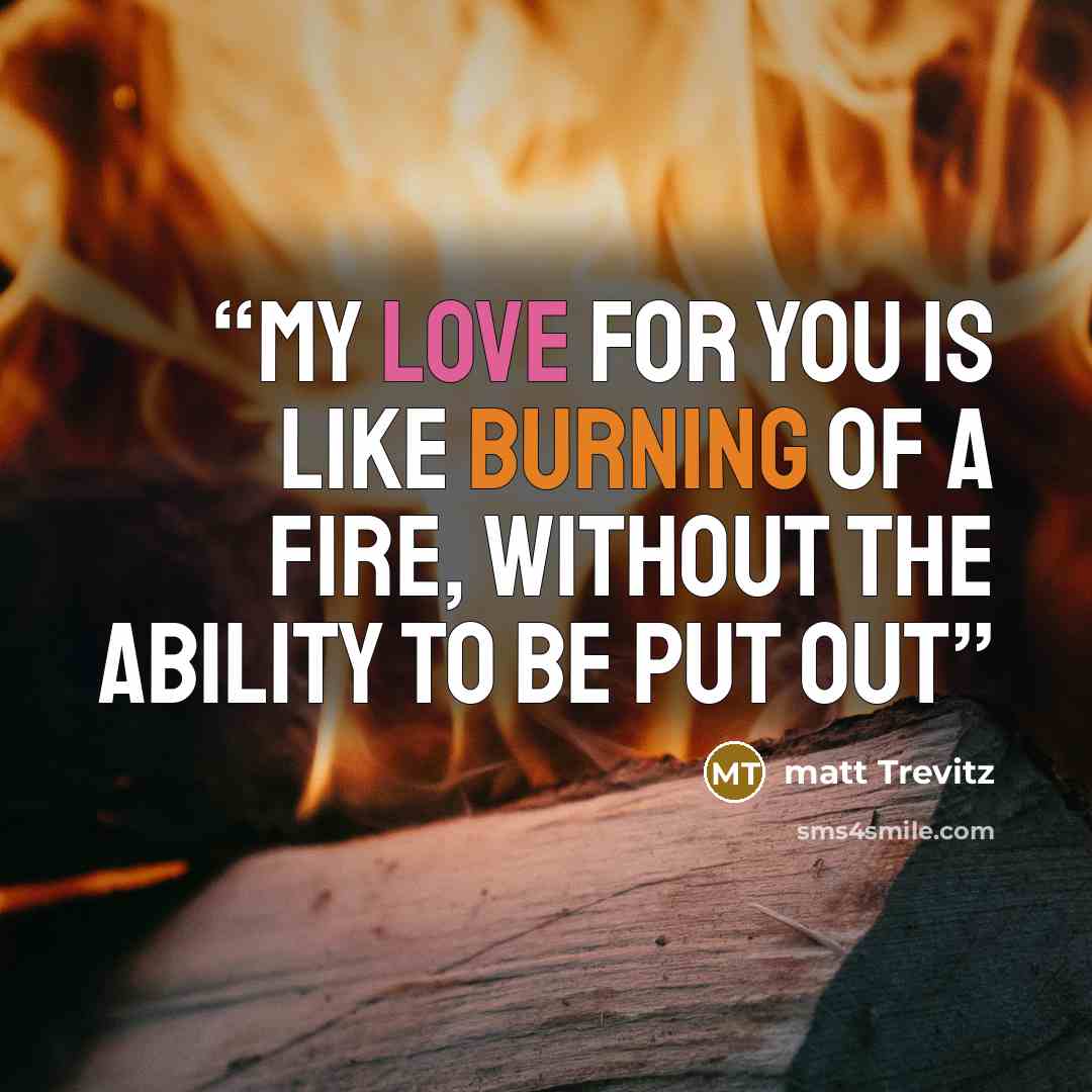 “my love for you is like burning of a fire, without the ability to be put out” quote by matt Trevitz