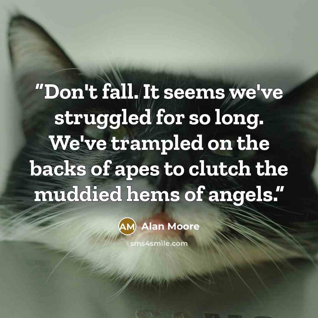 “Don't fall. It seems we've struggled for so long. We've trampled on the backs of apes to clutch the muddied hems of angels.” quote by Alan Moore