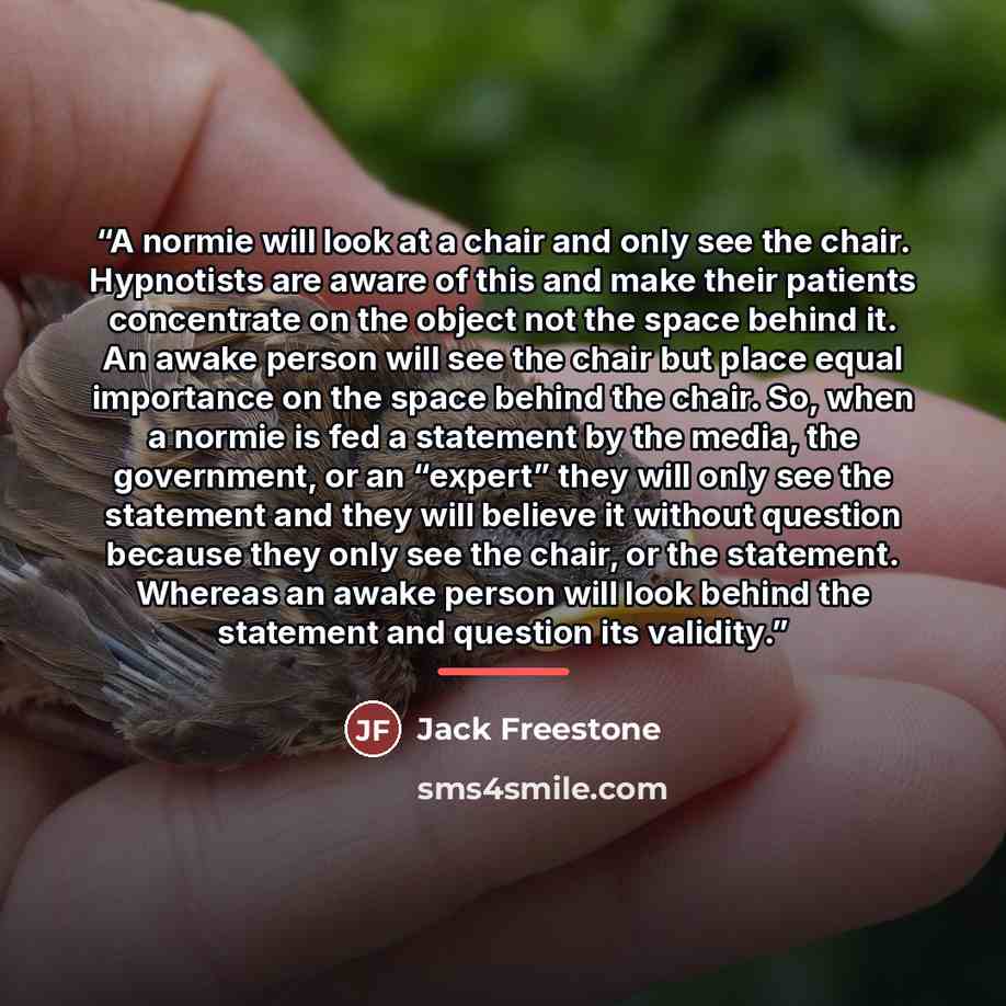 “A normie will look at a chair and only see the chair. Hypnotists are aware of this and make their patients concentrate on the object not the space behind it. An awake person will see the chair but place equal importance on the space behind the chair. So, when a normie is fed a statement by the…” quote by Jack Freestone