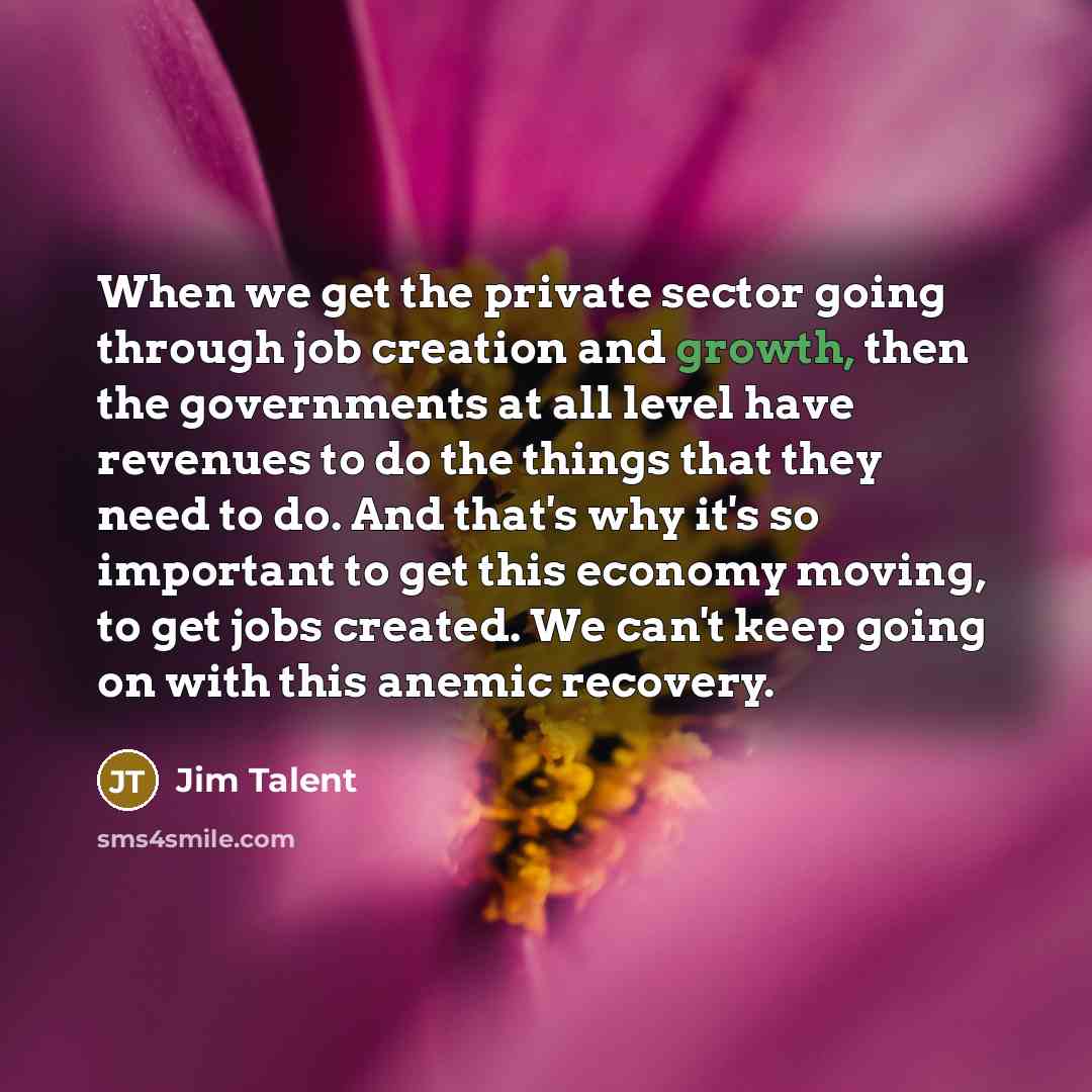 “When we get the private sector going through job creation and growth, then the governments at all level have revenues to do the things that they need to do. And that's why it's so important to get this economy moving, to get jobs created. We can't keep going on with this anemic recovery.” quote by Jim Talent