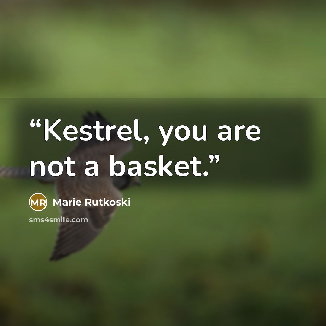 “Kestrel, you are not a basket.” quote by Marie Rutkoski