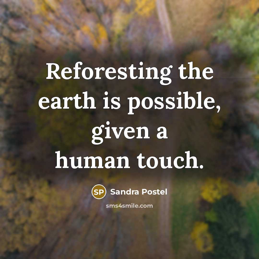 “Reforesting the earth is possible, given a human touch.” quote by Sandra Postel
