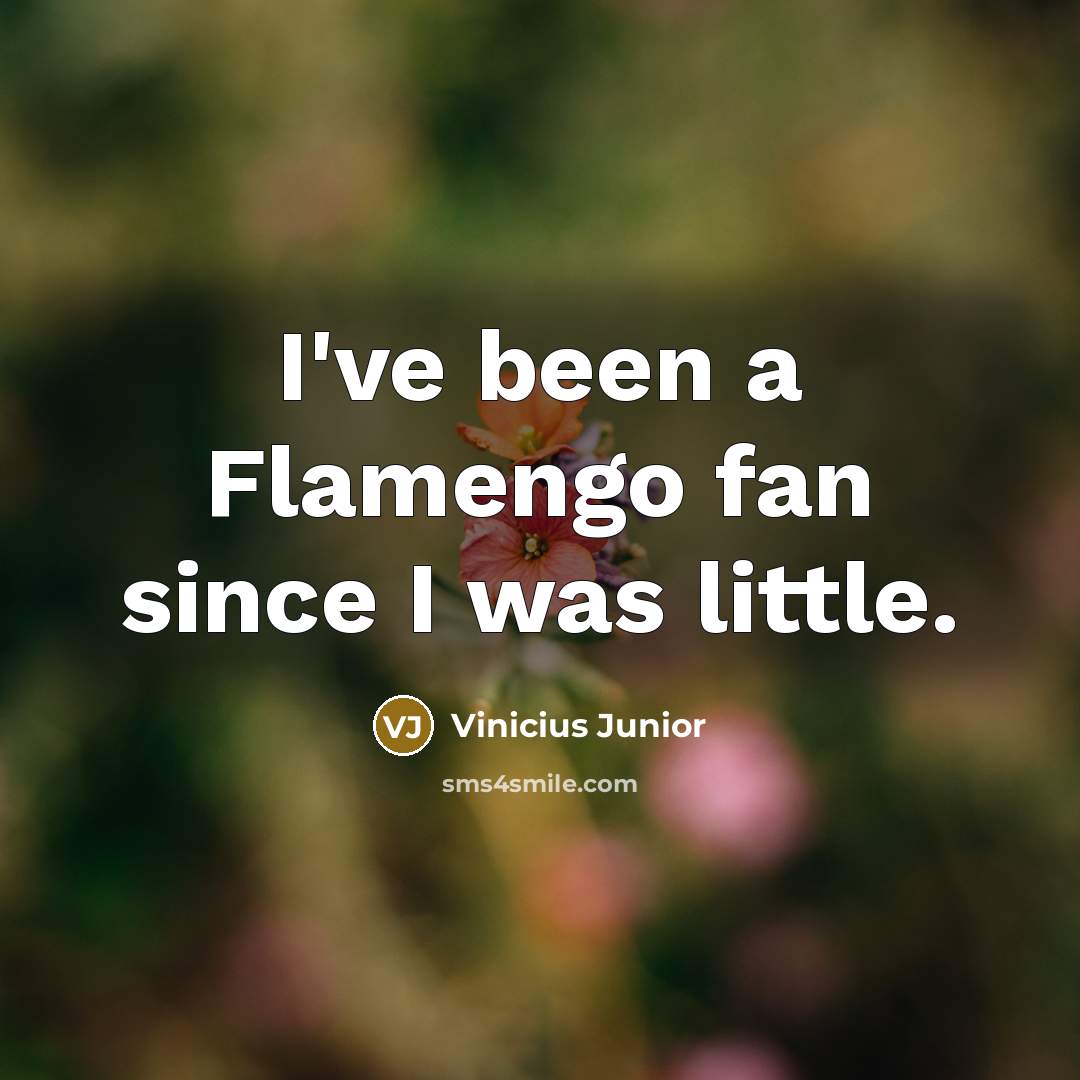 “I've been a Flamengo fan since I was little.” quote by Vinicius Junior