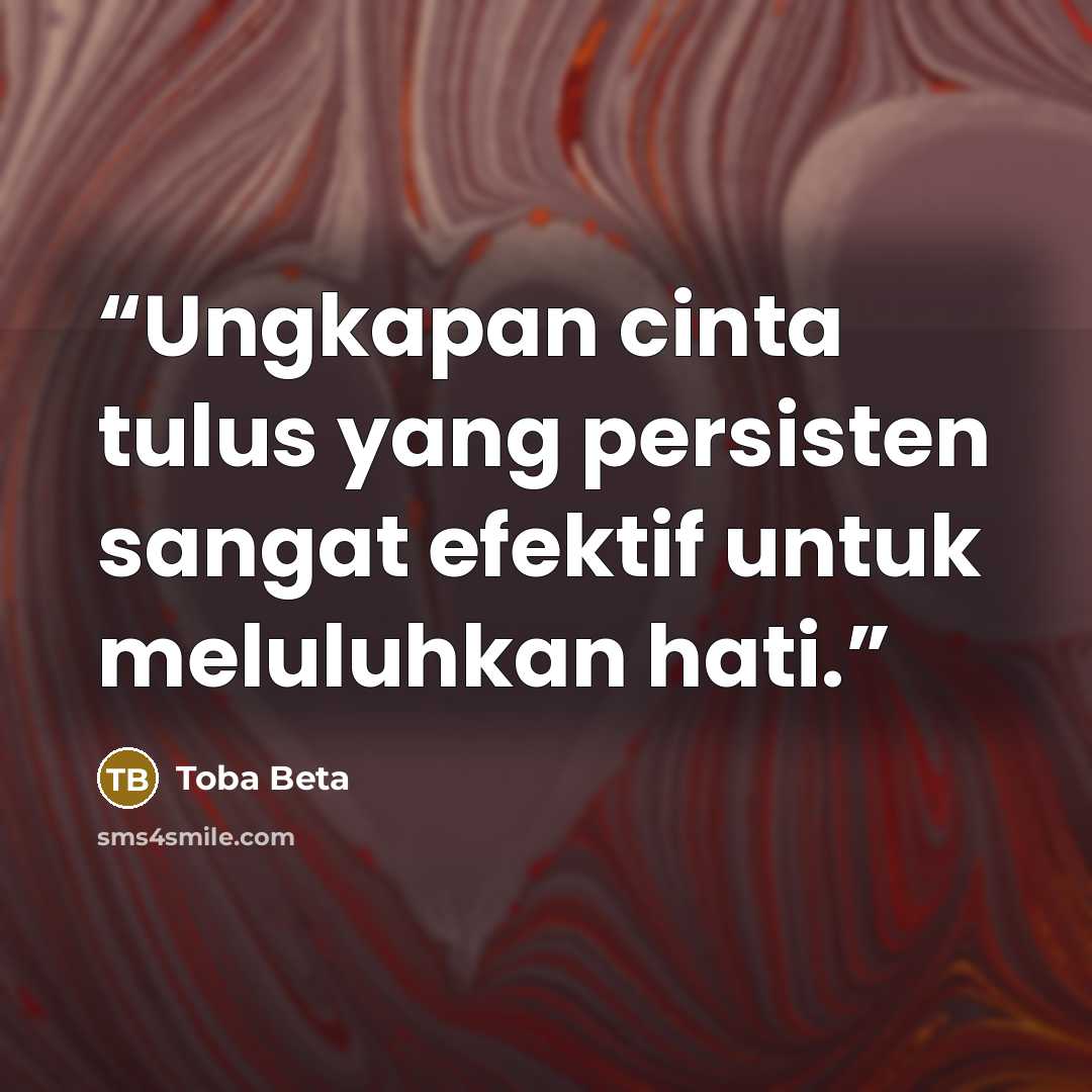 “Ungkapan cinta tulus yang persisten sangat efektif untuk meluluhkan hati.” quote by Toba Beta