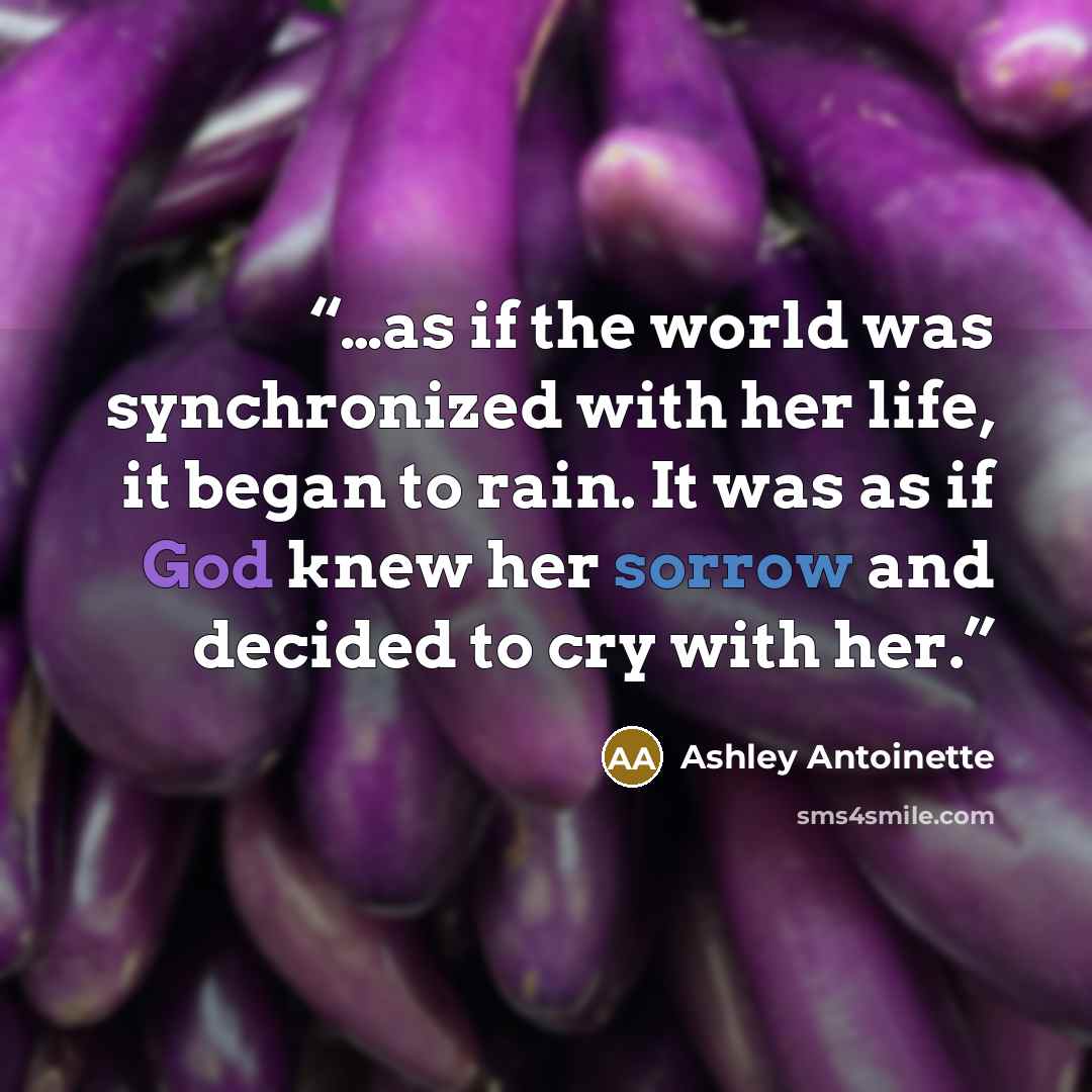 “…as if the world was synchronized with her life, it began to rain. It was as if God knew her sorrow and decided to cry with her.” quote by Ashley Antoinette