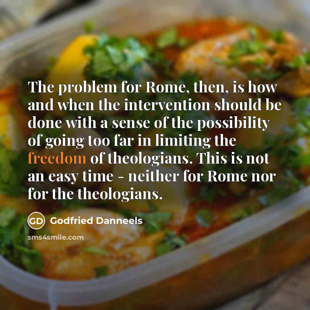 “The problem for Rome, then, is how and when the intervention should be done with a sense of the possibility of going too far in limiting the freedom of theologians. This is not an easy time - neither for Rome nor for the theologians.” quote by Godfried Danneels