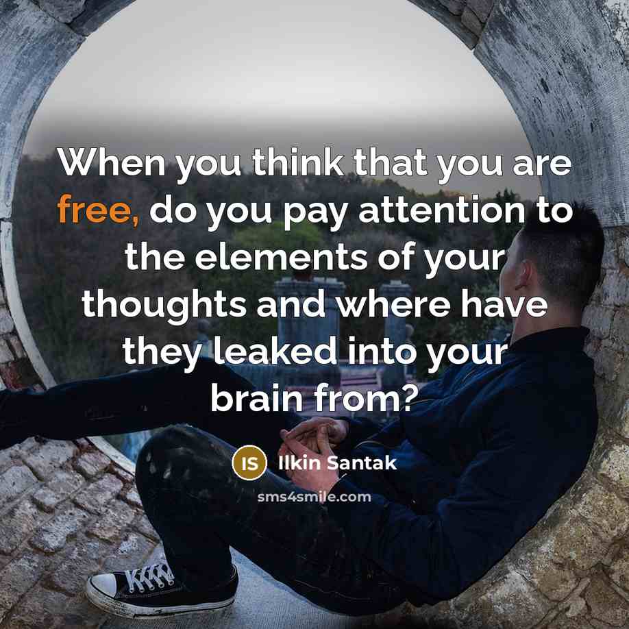 “When you think that you are free, do you pay attention to the elements of your thoughts and where have they leaked into your brain from?” quote by Ilkin Santak