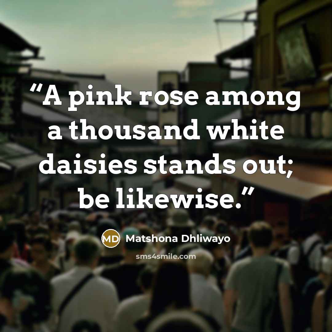 “A pink rose among a thousand white daisies stands out; be likewise.” quote by Matshona Dhliwayo