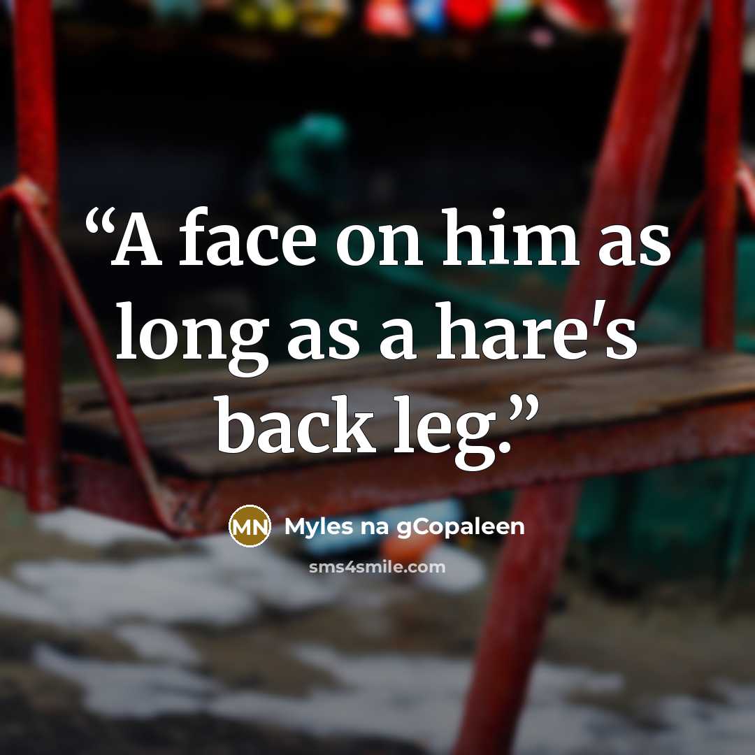 “A face on him as long as a hare's back leg.” quote by Myles na gCopaleen