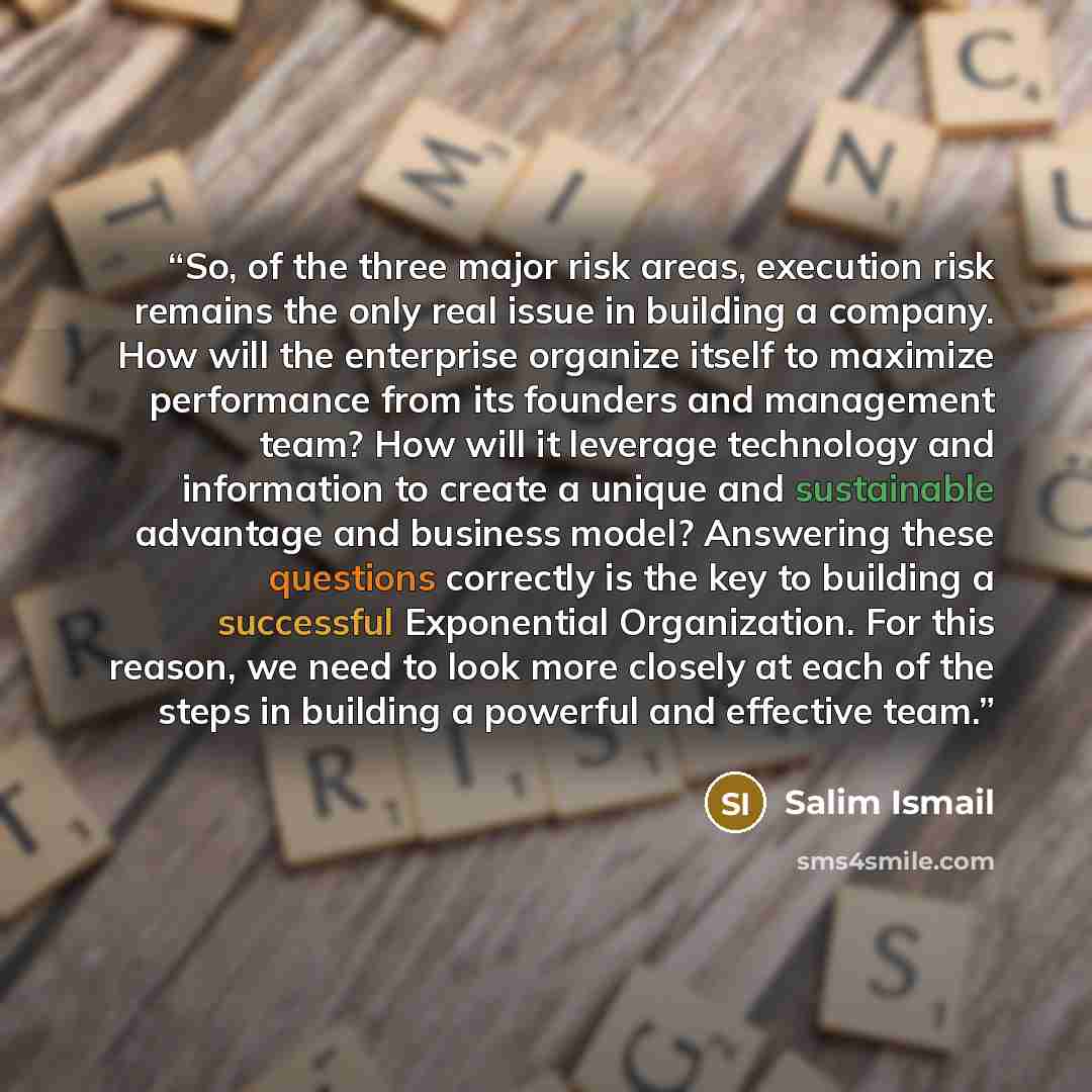 “So, of the three major risk areas, execution risk remains the only real issue in building a company. How will the enterprise organize itself to maximize performance from its founders and management team? How will it leverage technology and information to create a unique and sustainable advantage…” quote by Salim Ismail