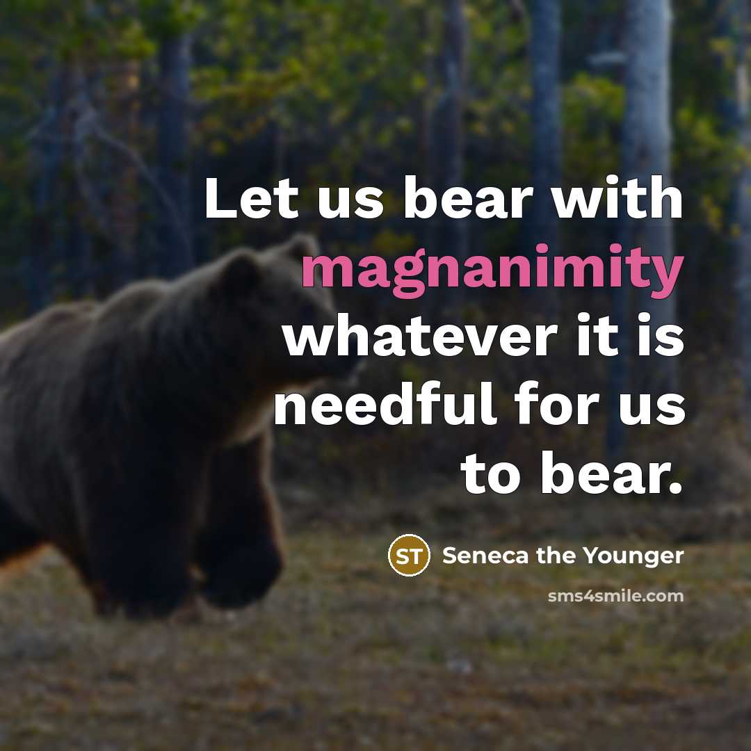 “Let us bear with magnanimity whatever it is needful for us to bear.” quote by Seneca the Younger
