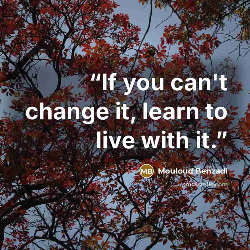 “If you can't change it, learn to live with it.” quote by Mouloud Benzadi