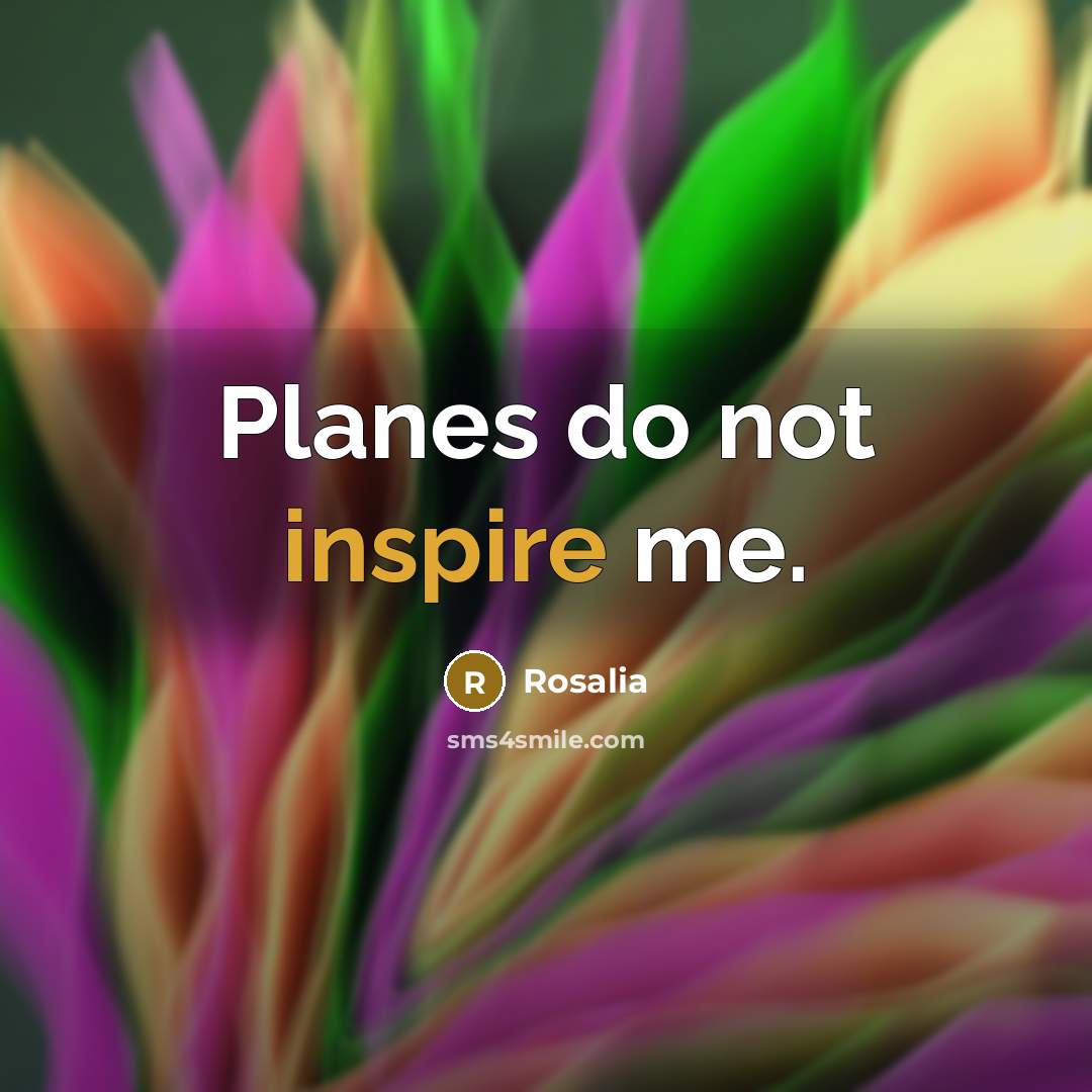 “Planes do not inspire me.” quote by Rosalia
