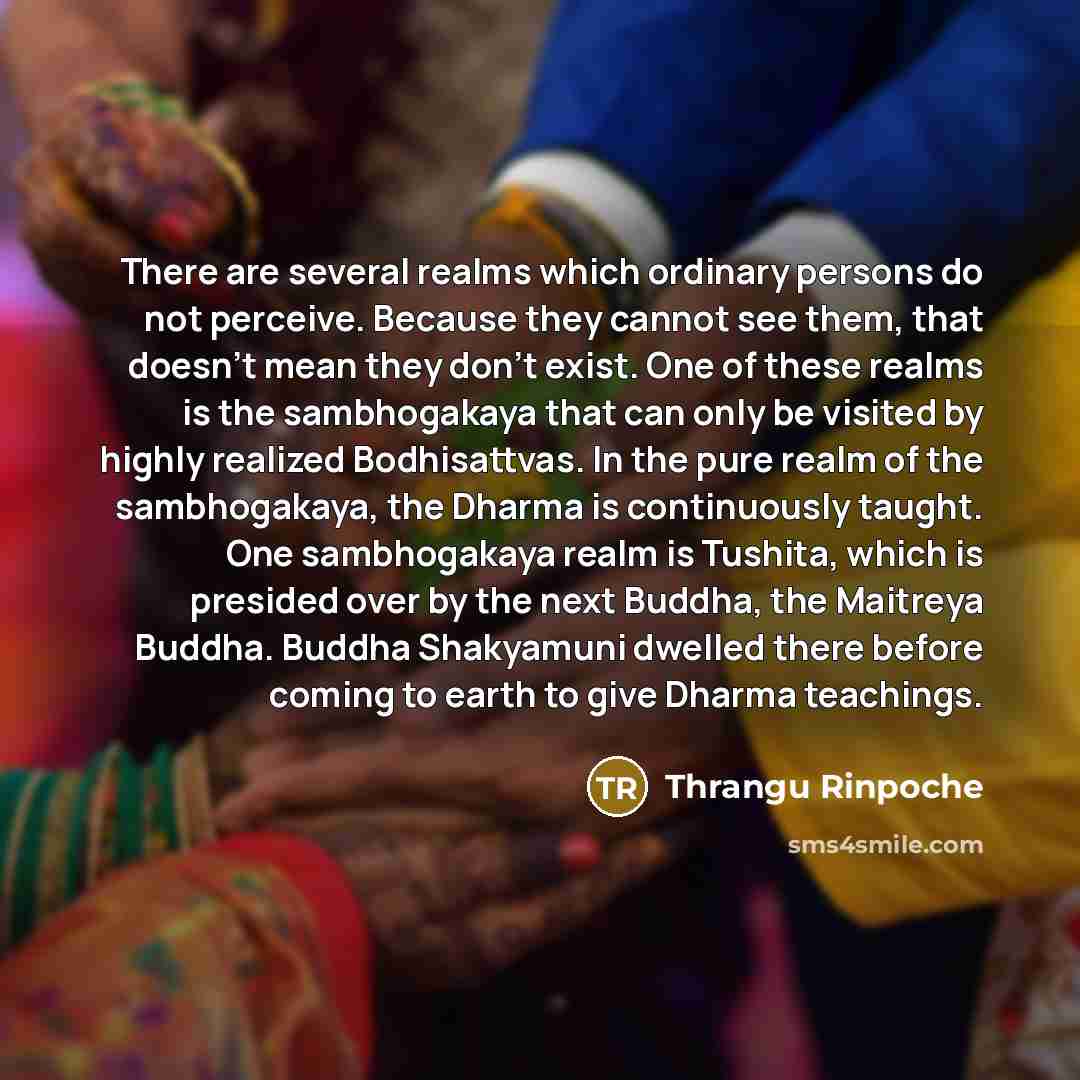 “There are several realms which ordinary persons do not perceive. Because they cannot see them, that doesn't mean they don't exist. One of these realms is the sambhogakaya that can only be visited by highly realized Bodhisattvas. In the pure realm of the sambhogakaya, the Dharma is continuously…” quote by Thrangu Rinpoche