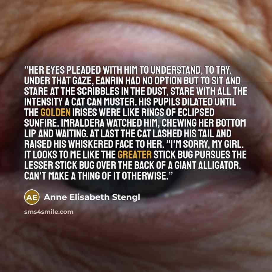 “Her eyes pleaded with him to understand, to try. Under that gaze, Eanrin had no option but to sit and stare at the scribbles in the dust, stare with all the intensity a cat can muster. His pupils dilated until the golden irises were like rings of eclipsed sunfire. Imraldera watched him, chewing…” quote by Anne Elisabeth Stengl