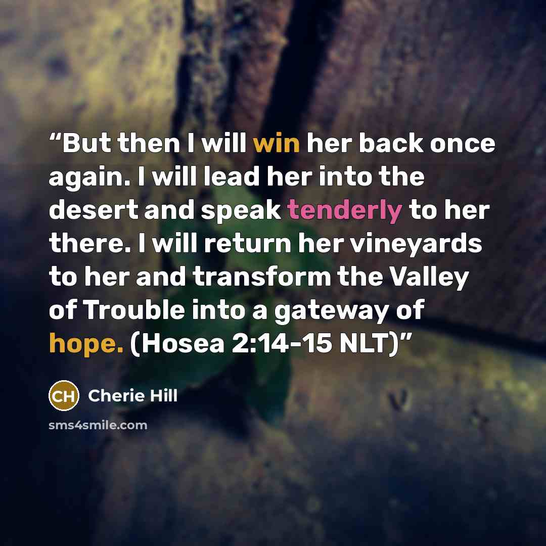 “But then I will win her back once again. I will lead her into the desert and speak tenderly to her there. I will return her vineyards to her and transform the Valley of Trouble into a gateway of hope. (Hosea 2:14-15 NLT)” quote by Cherie Hill